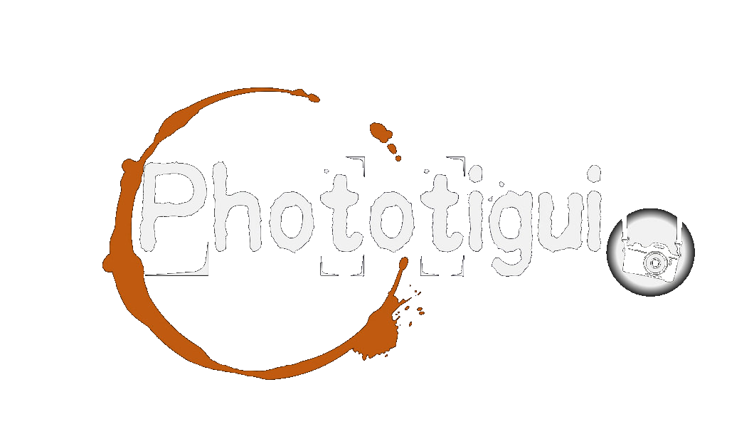 Photographe Senegal
