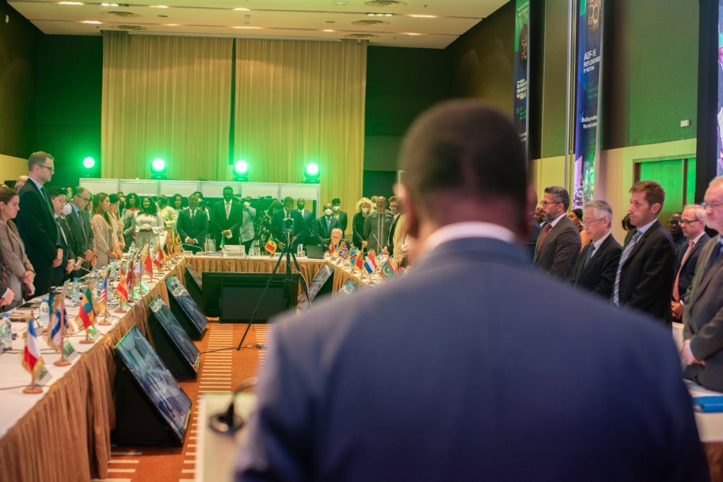 Le Dr Akinwumi A. Adesina