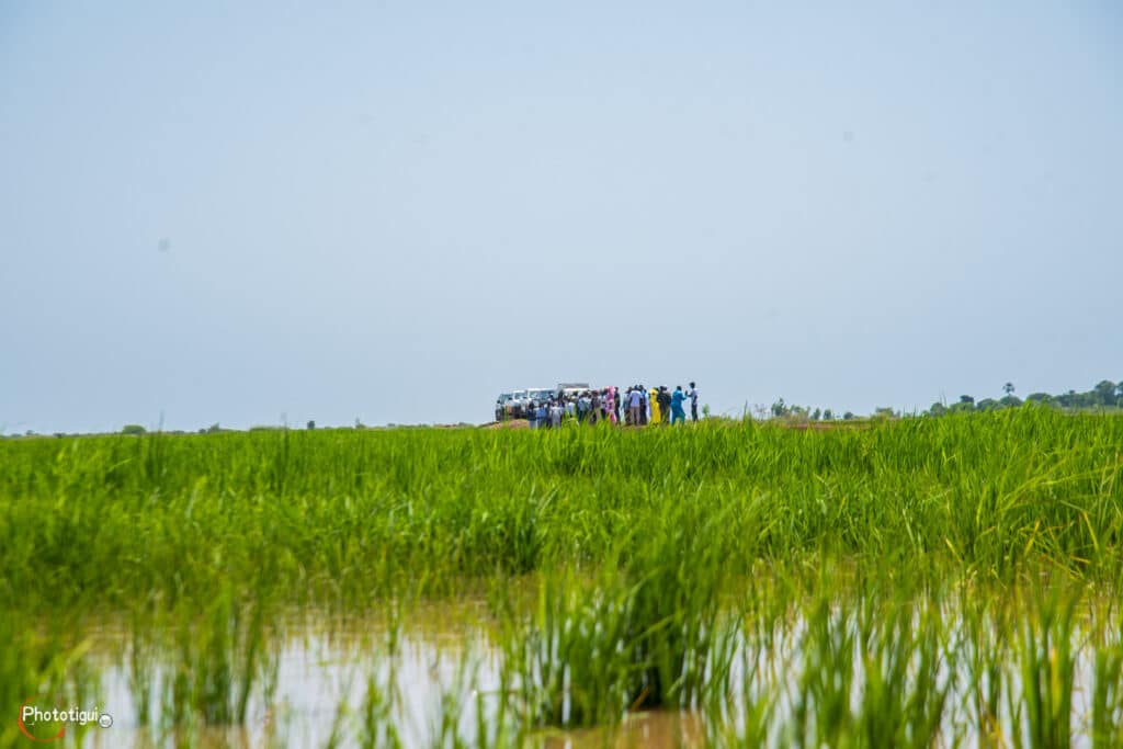 Banque africaine de développement