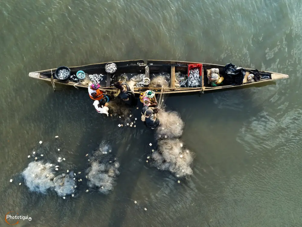 Vue aérienne d'une pirogue de pêche en Casamance, Sénégal. Des personnes entourent le bateau dans l'eau peu profonde, triant les poissons des filets